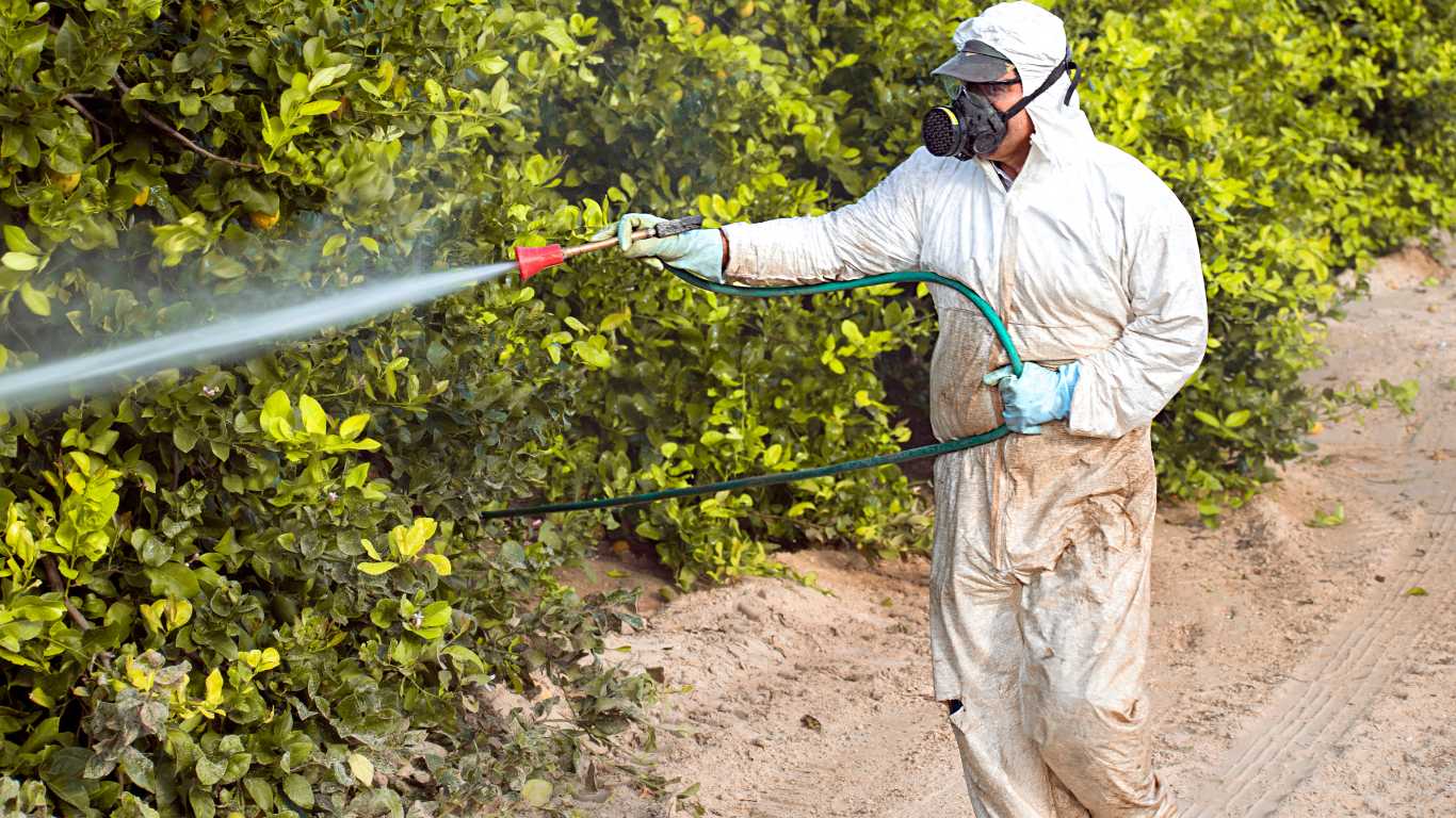 trabajar admitida a trámite la solicitud de residencia de familiar de español