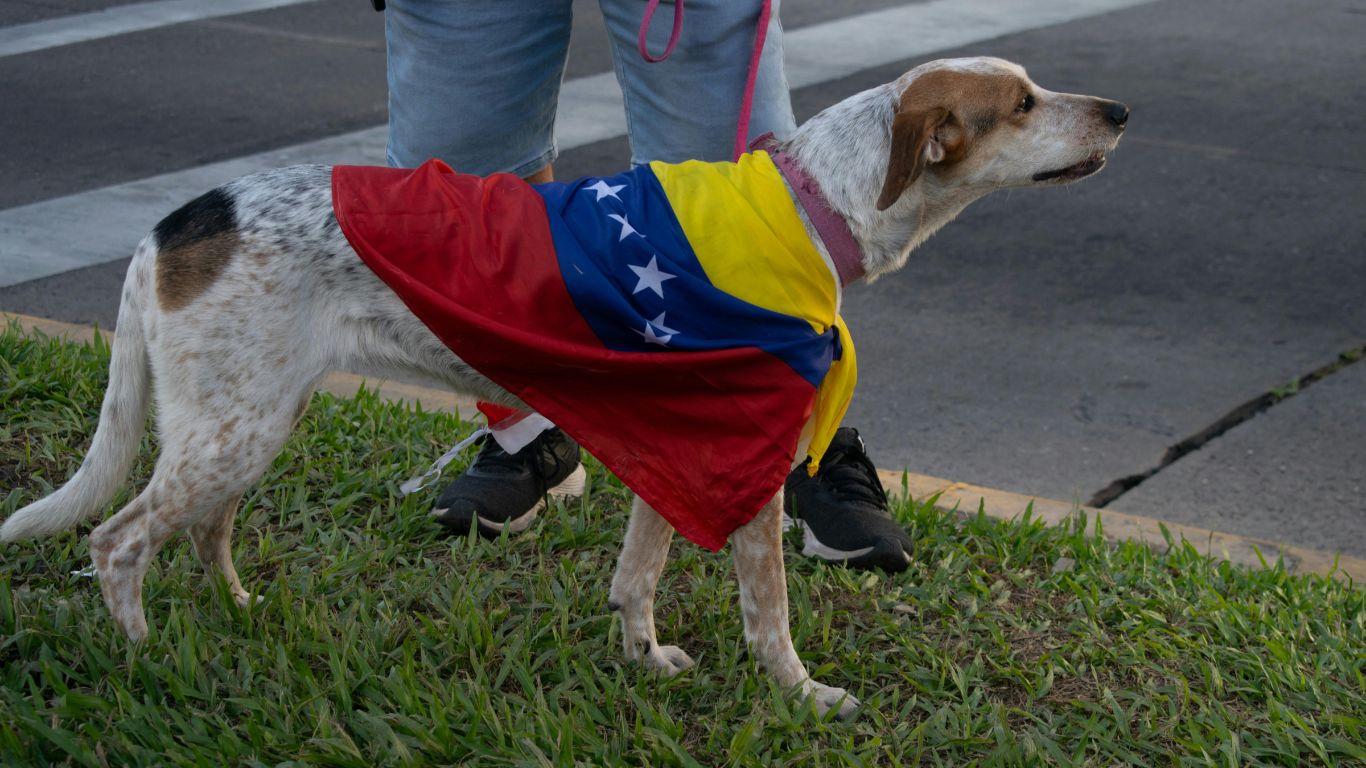 El Gobierno comienza a denegar la residencia por razones humanitarias a venezolanos 1 residencia por razones humanitarias a venezolanos